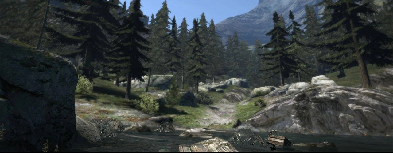 The Cursewood