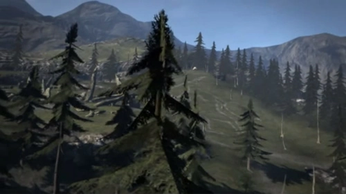 Northface Forest