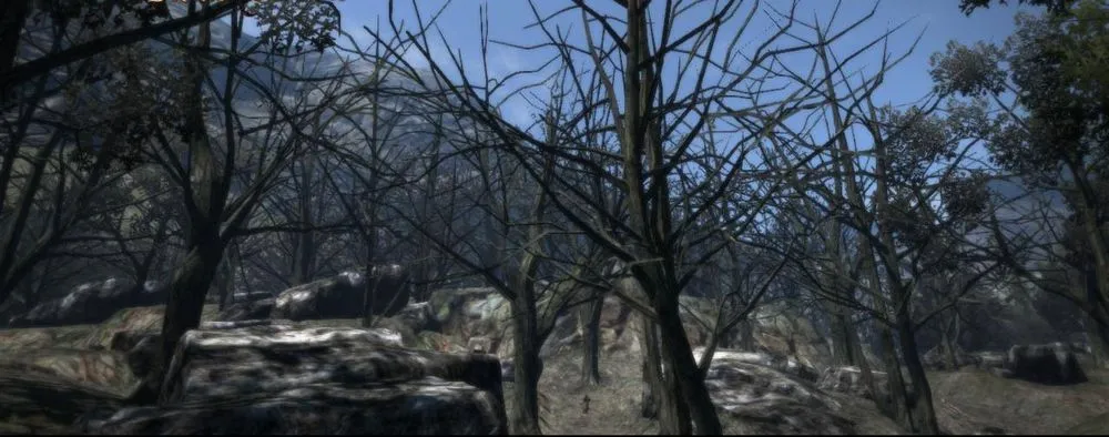 Wilted Forest