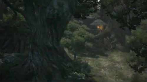 The Witchwoods