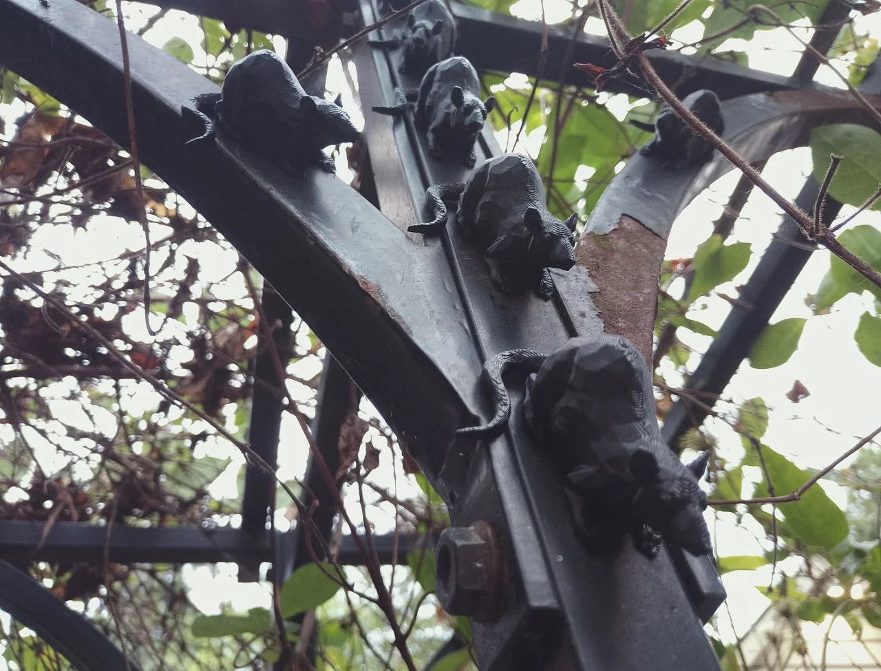 rats2