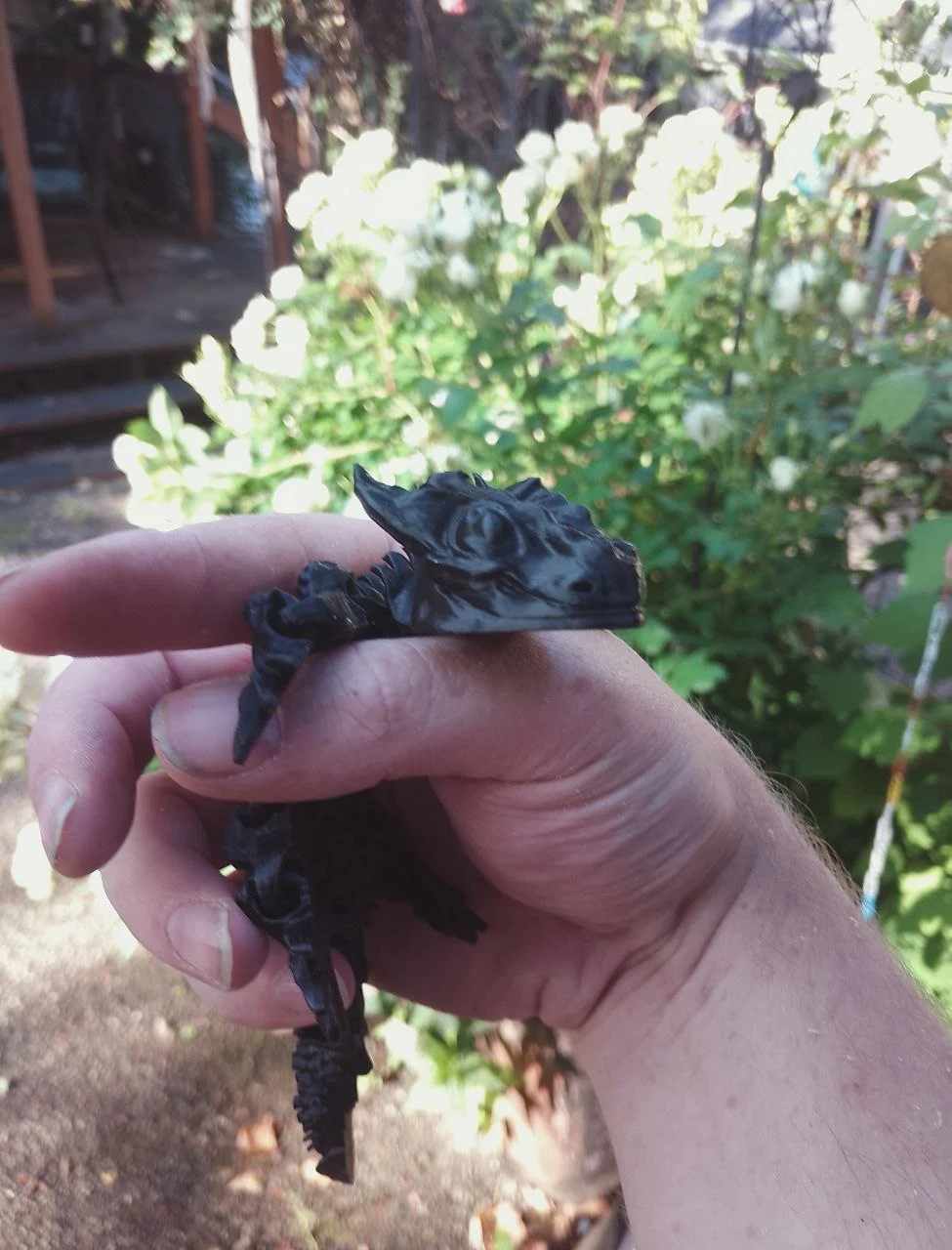 lizard