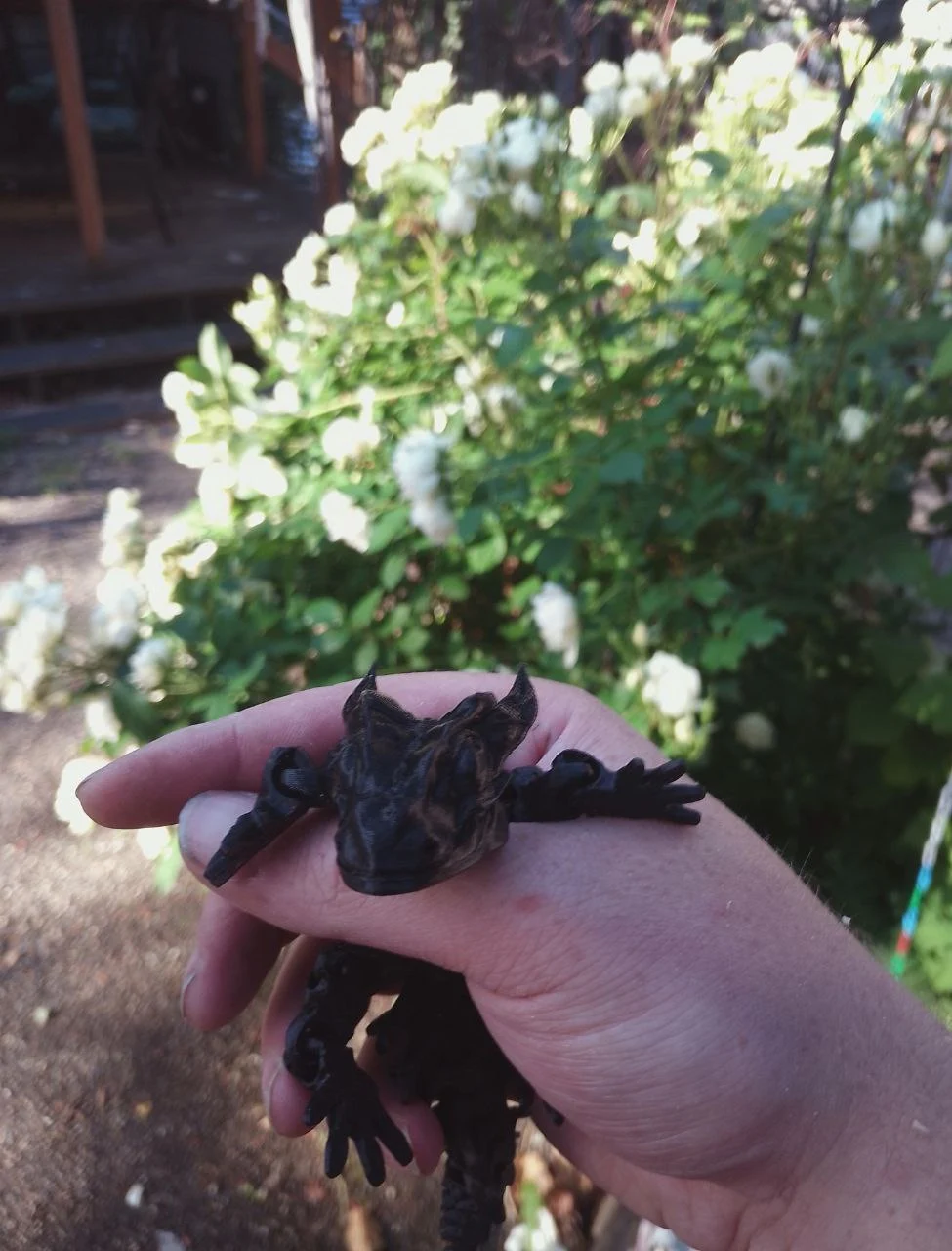 lizard2
