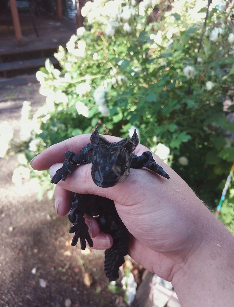 lizard3