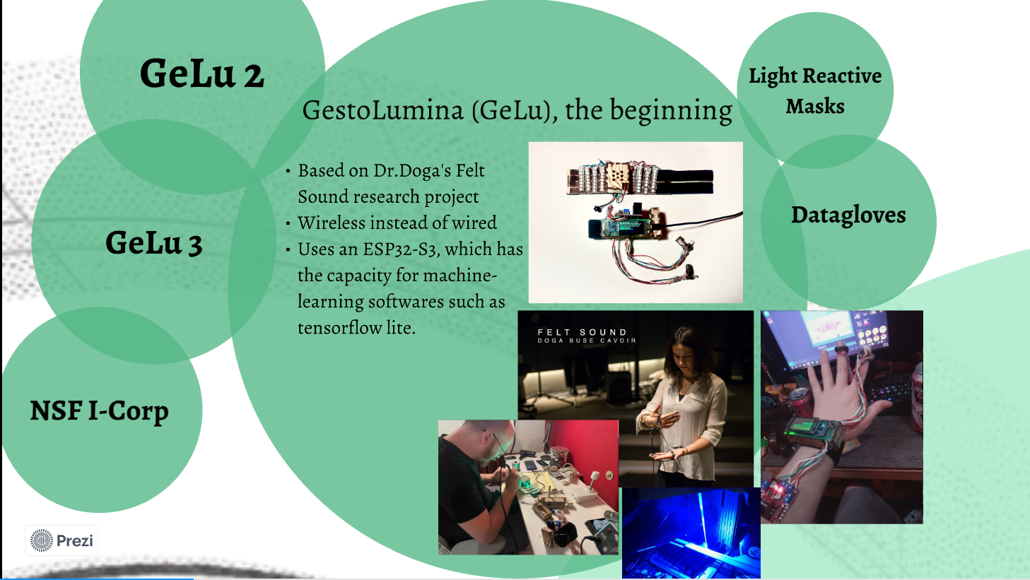 GestoLumina origins